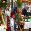 Вино – бизнес в Черногории на радость туристам и местным жителям
