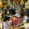 Маслины – бизнес в Черногории, плавно превращающийся в крупномасштабный праздник